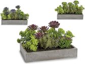Plantenbak Rechthoekig Grijs (16 x 20 x 28,5 cm)