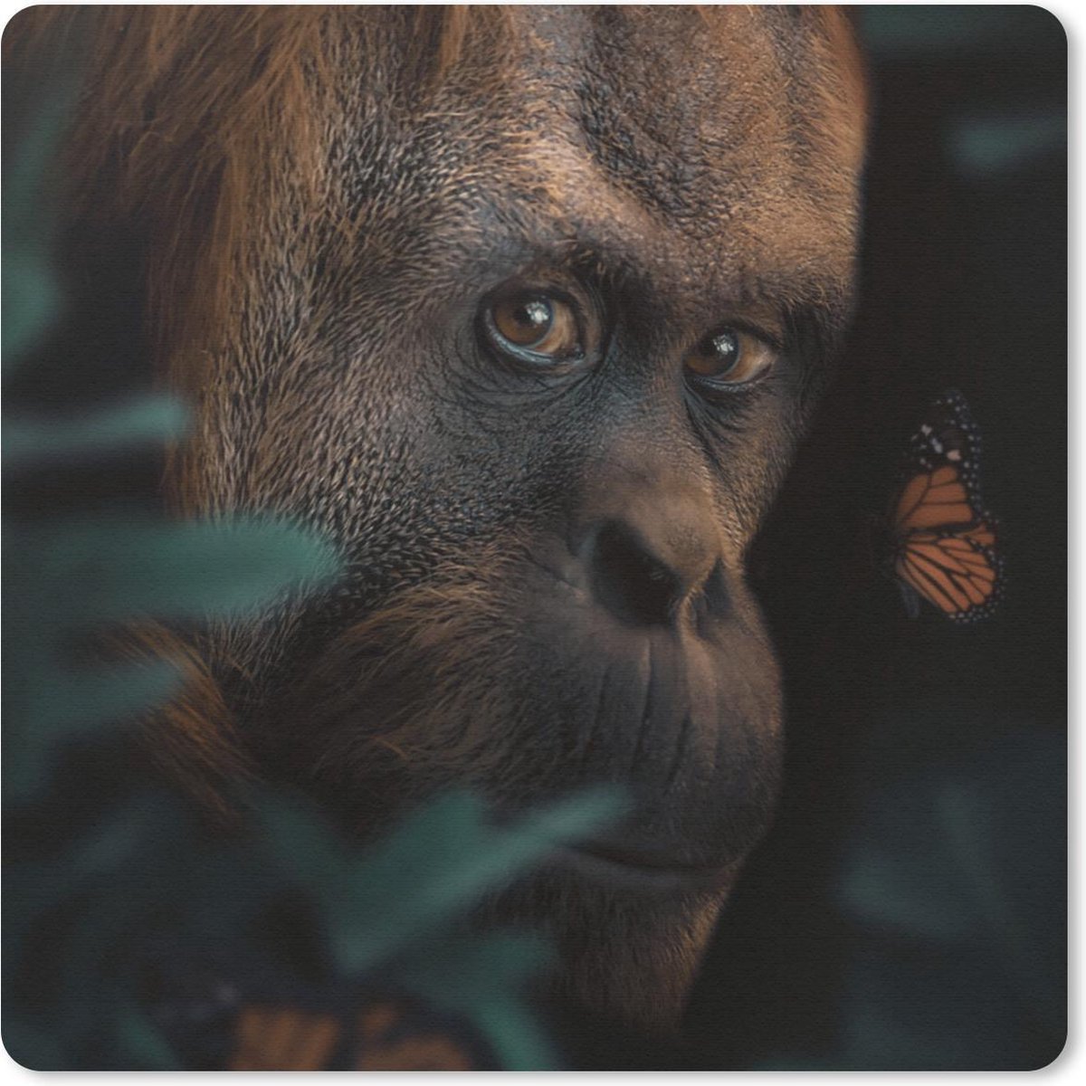 Muismat 30x30 cm - Mousepad Vlinder - Aap - Planten - Muismatten