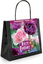 16x Tulp - Tulipa - Mix 'Dancing Queen' - 16 bollen