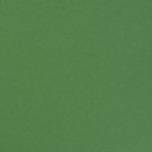 Florence Cardstock smooth A4 Emerald