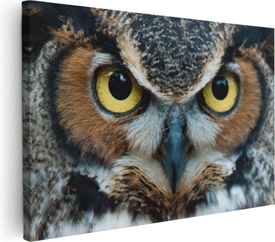 Artaza Canvas Schilderij Uil Kop Met Gouden Ogen  - 60x40 - Foto Op Canvas - Canvas Print