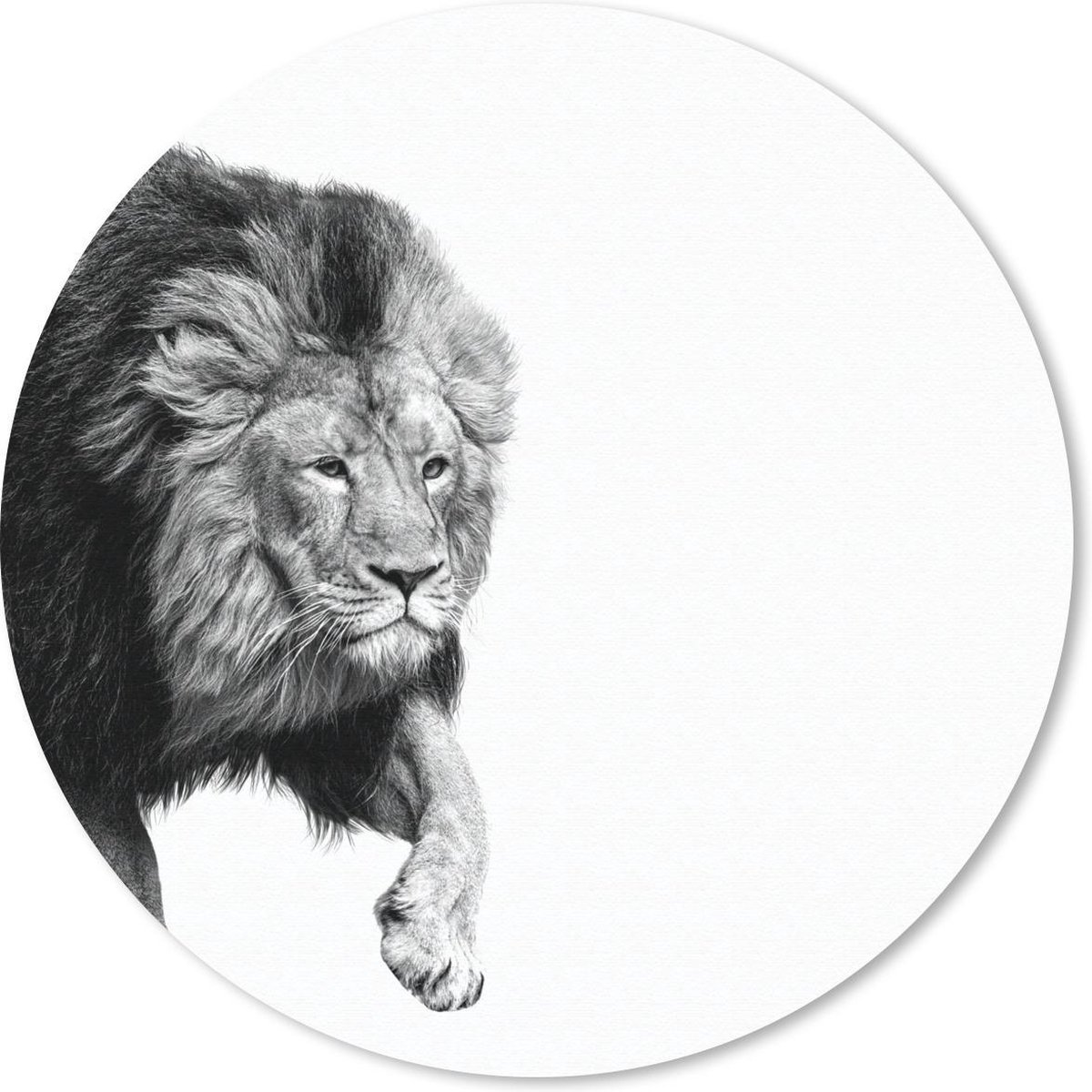 Muismat rond 50x50 cm - Mousepad Leeuw - Dieren - Zwart - Wit - Ronde muismatten