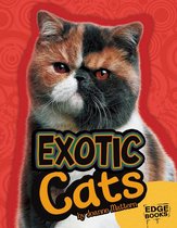 All About Cats - Exotic Cats