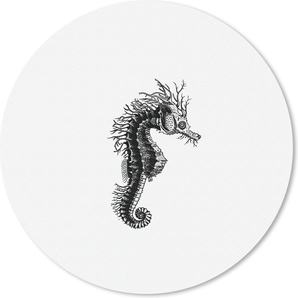 Muismat rond 50x50 cm - Mousepad Retro - Zeepaardje - Dieren - Ronde muismatten