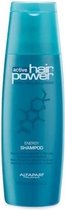 Alfaparf Active Hair Power Energy Unisex Shampoo 1000ml