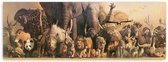 poster Wilde Dieren Panorama 91,5 x 32 cm papier