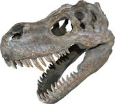 Nemesis Now - Schedels - Tyrannosaurus Rex - Kleine Dinosaurus Schedel - Beeld - 39.5cm
