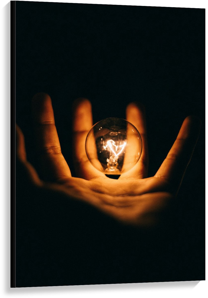 Canvas - Lichtgevende Gloeilamp in Handen met Zwarte Achtergrond - 80x120cm Foto op Canvas