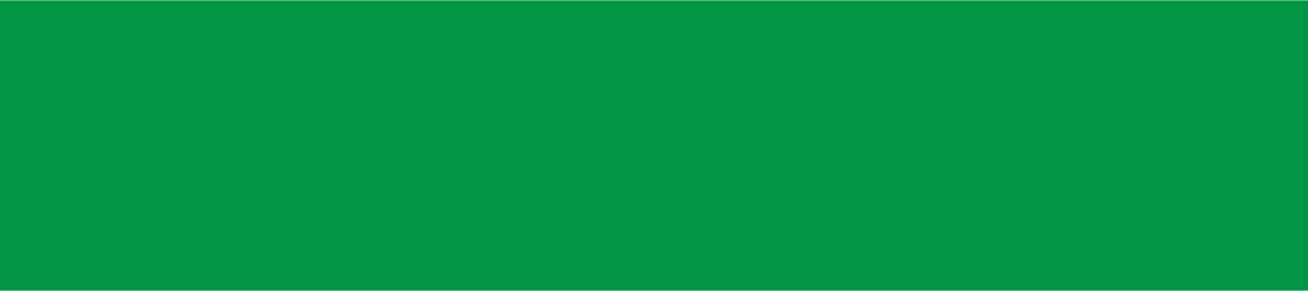 Vlag Groningen Stad 50x75cm