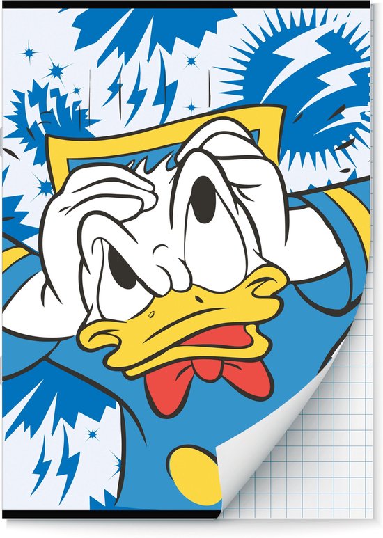 Donald Duck schriften Ruit 10 mm A4 - 2 stuks