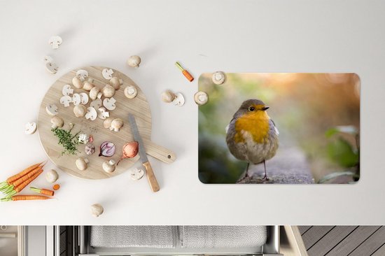 Set de table - Vogels - Robin - Arbre - 45x30 cm - 6 pièces