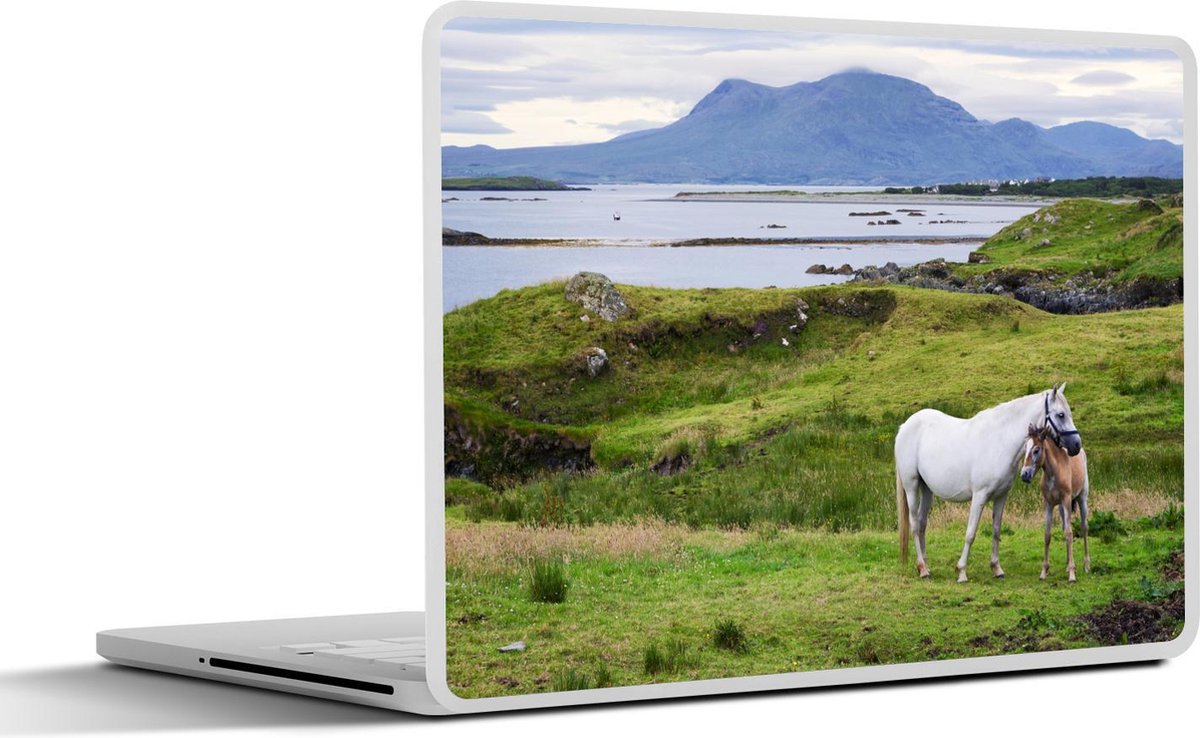 Laptop sticker - 17.3 inch - Moeder paard en veulen in Ierland - 40x30cm - Laptopstickers - Laptop skin - Cover