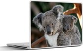 Laptop sticker - 15.6 inch - Koala's - Vader - Zoon - Kids - Jongens - Meiden
