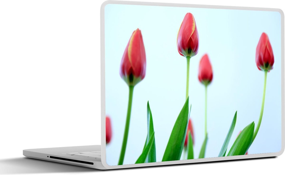 Afbeelding van product SleevesAndCases  Laptop sticker - 10.1 inch - Rode tulpen lichtblauwe achtergrond