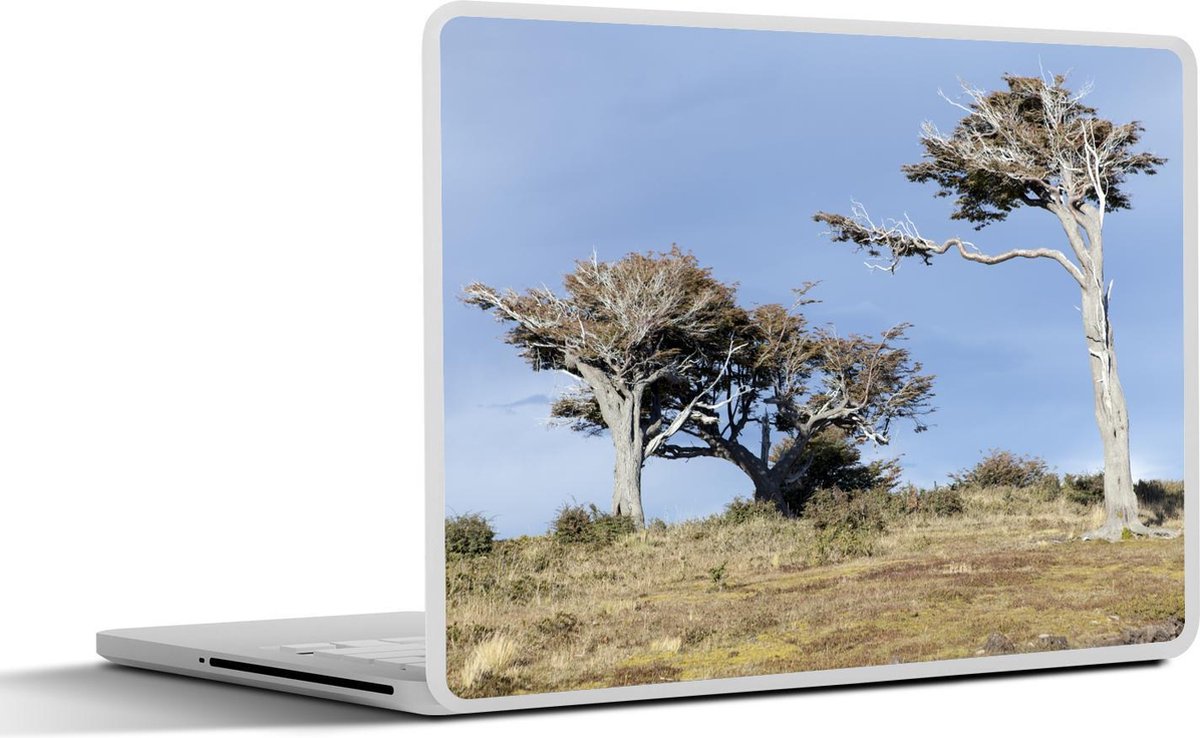 Afbeelding van product SleevesAndCases  Laptop sticker - 10.1 inch - Windvormige bomen in het Nationaal park Tierra del Fuego
