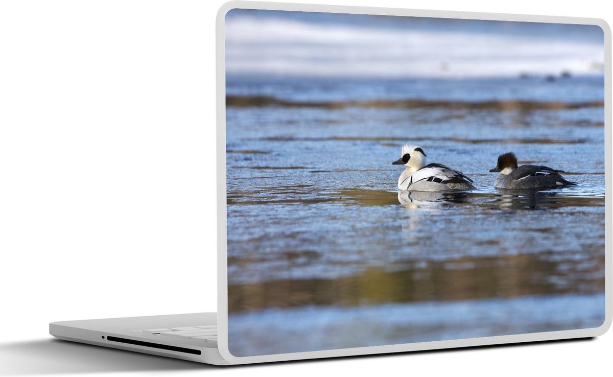 Afbeelding van product SleevesAndCases  Laptop sticker - 14 inch - Twee nonnetjes in het water