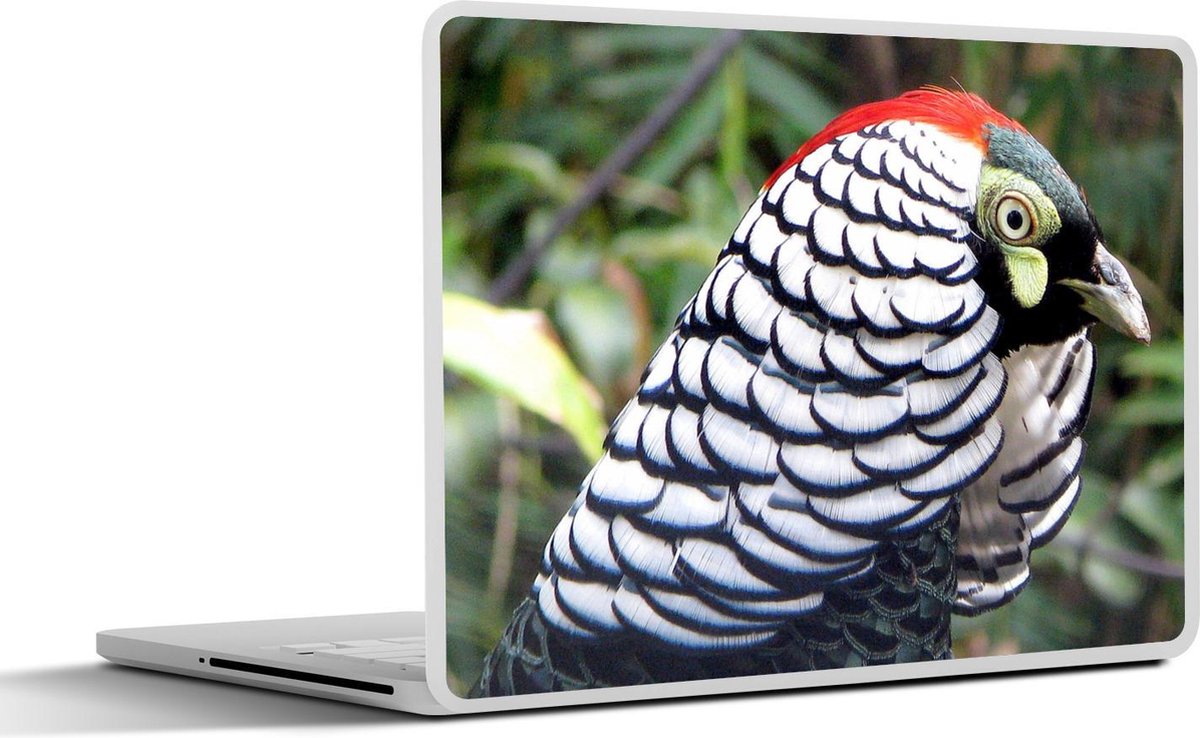 Afbeelding van product SleevesAndCases  Laptop sticker - 11.6 inch - Het patroon van de vacht van een Ladyamherstfazant