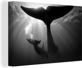Canvas Schilderij Tweetal dolfijnen - zwart wit - 90x60 cm - Wanddecoratie