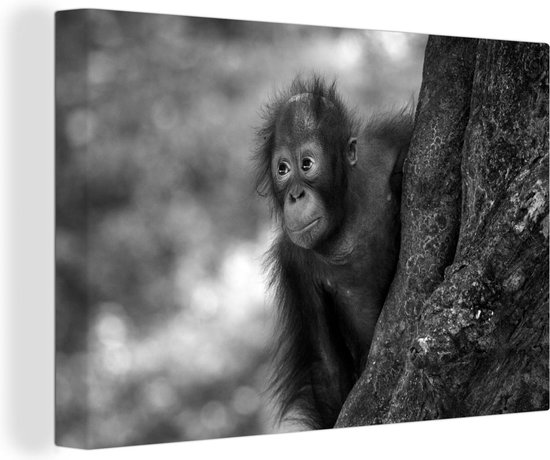 Canvas Schilderij Baby orang oetan - zwart wit - 30x20 cm - Wanddecoratie