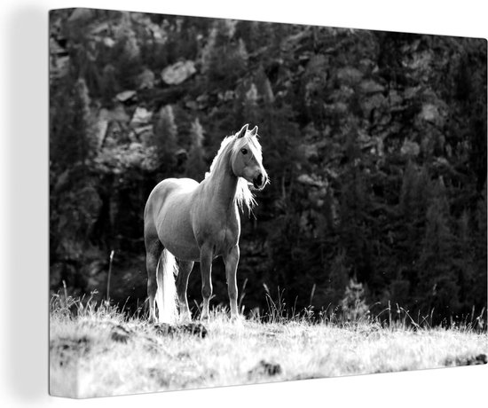 Canvas schilderij 140x90 cm - Wanddecoratie Haflinger paard in de bergen - zwart wit - Muurdecoratie woonkamer - Slaapkamer decoratie - Kamer accessoires - Schilderijen