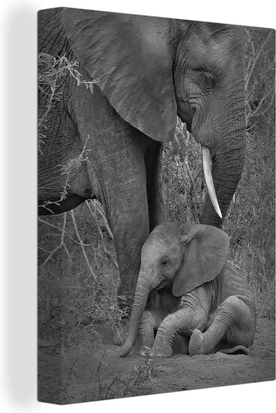 Canvas Schilderij Moeder olifant zorgt voor haar kind - zwart wit - 60x80 cm - Wanddecoratie