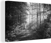 Canvas Schilderij Weg door een mistig bos - zwart wit - 120x80 cm - Wanddecoratie