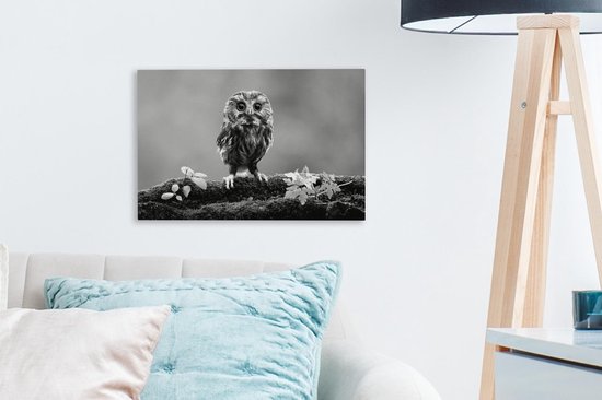 Peintures sur Toile - chouette - noir et blanc - 30x20 cm - Décoration murale