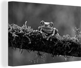 Tableau sur toile Grenouille lémurien aux yeux rouges sur branche couverte - noir et blanc - 150x100 cm - Décoration murale