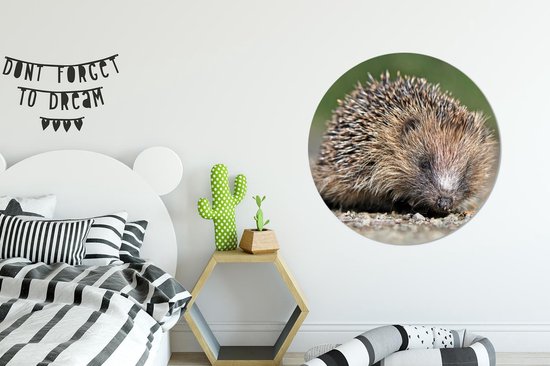 WallCircle - Cercle Mural - Cercle Mural - Hérisson - Water - Soleil - Aluminium - Dibond - 90x90 cm - Intérieur et Extérieur