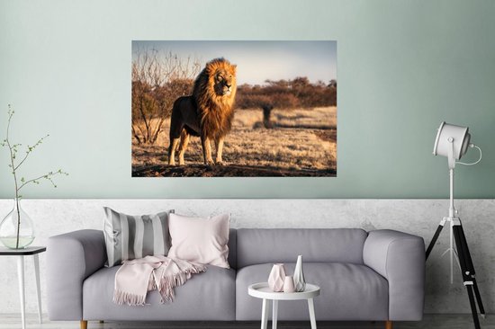 Affiche Lion - Colline - Soleil - 120x80 cm