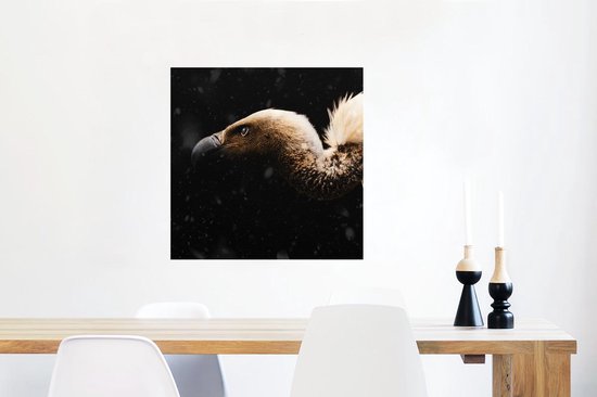 Poster Vautour - Wit - Zwart - 50x50 cm