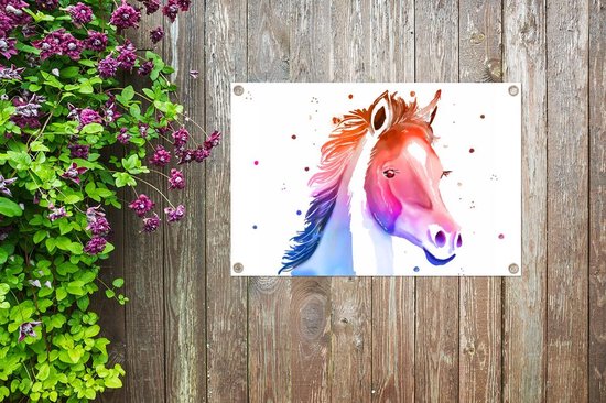 Posters de jardin extérieur Cheval - Rose - Violet - Filles - Enfants - Meiden - 90x60 cm - Toile jardin - Affiche extérieure