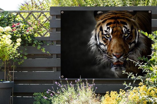 Affiche jardin - Toile jardin - Affiches jardin extérieur - Tigre - Animal - Prédateurs - Posters de jardin cm - Jardin