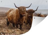 Affiche de jardin Scottish Highlander - Vaches - Parc - 120x90 cm