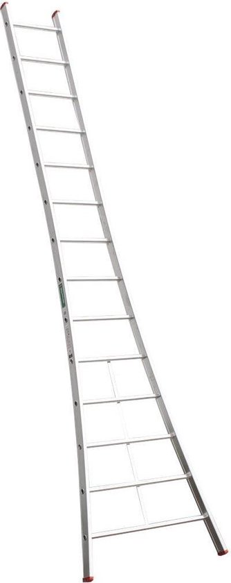 Kelfort Ladder enkel 1x16 recht magnus