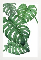 JUNIQE - Poster in houten lijst Tropical No.2 -40x60 /Groen & Wit