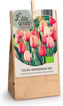 8x Tulpen - Tulipa - Mix 'Impression' Biologisch - Little Green - 8 bollen