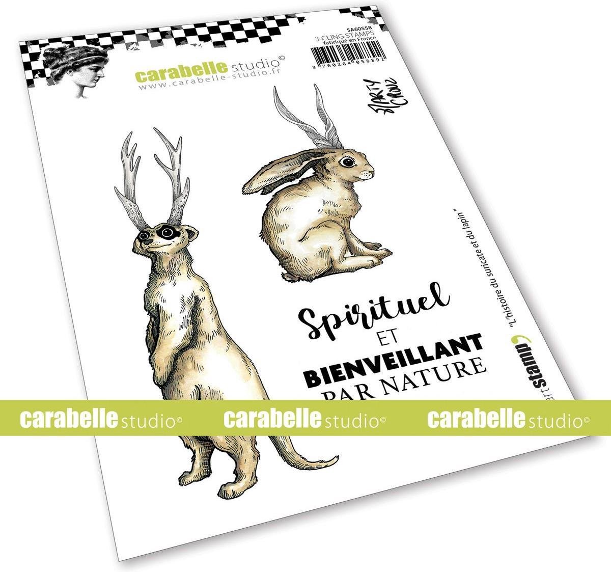 Carabelle Studio - Cling stamp A6 L'Histoire Du Suricate Et Du Lapin