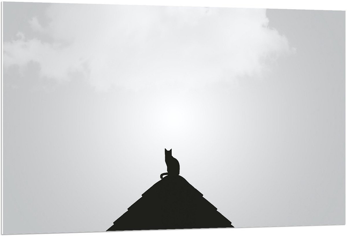 KuijsFotoprint Forex - Silhouette Kat op Piramide - 120x80cm Foto op Forex Wit