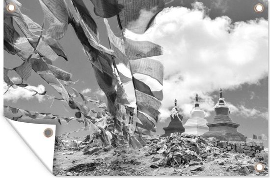 Affiche de jardin - Toile de jardin - Posters de jardin extérieur - Drapeaux et stupas colorés dans la nature du Tibet - noir et blanc - 120x80 cm - Jardin