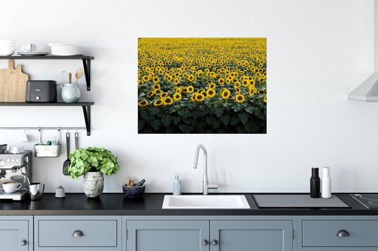 Stickers muraux - Film autocollant - Fleurs - Tournesol - Champ - 80x60 cm - Film adhésif - Stickers muraux Chambre d'enfant - Papier peint autocollant