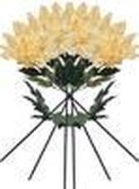 PACK 6 RAMOS dahlia CM 110 GIANT BLOEMEN - CREAM