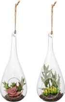 Decoratieve plant 119510 Kunstmatig Binnenkant Ø 16 cm