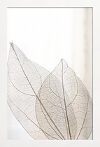 JUNIQE - Poster in houten lijst Skeleton Leaves -20x30 /Ivoor