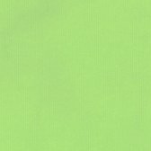 Inpakpapier Licht Groen 50cm x 125mtr - dessin 147