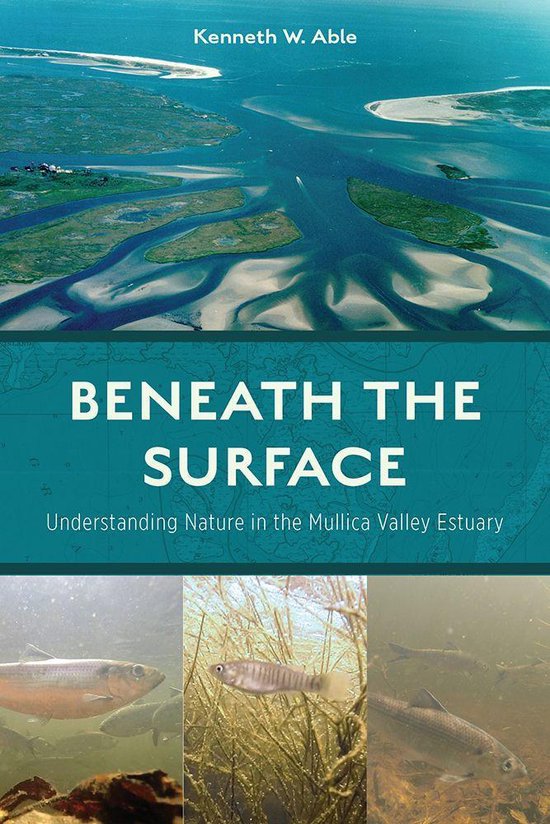 Beneath the Surface - cover