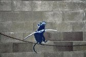 BANKSY  Tightrope Rat Walking Chain Canvas Print