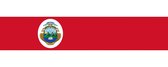 Vlaggetje Costa Rica - met wapen 20x30cm