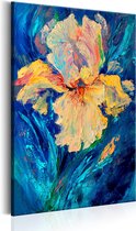 Schilderijen Op Canvas - Schilderij - Beautiful Iris 80x120 - Artgeist Schilderij