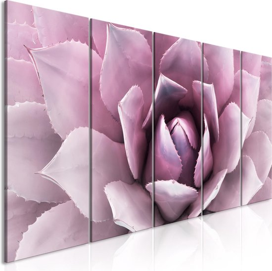 Peintures Sur Toile - Peinture - Agave (5 Parties) Rose Étroite 225x90 - Peinture Artgeist